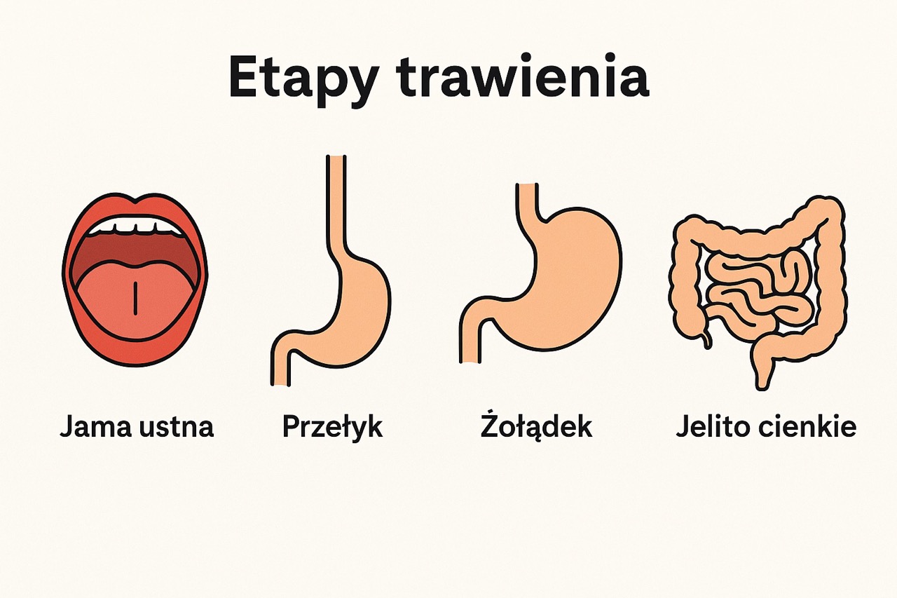 Praktyczne porady na poprawę trawienia
