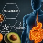 Przyspieszenie metabolizmu - mit czy rzeczywistość?